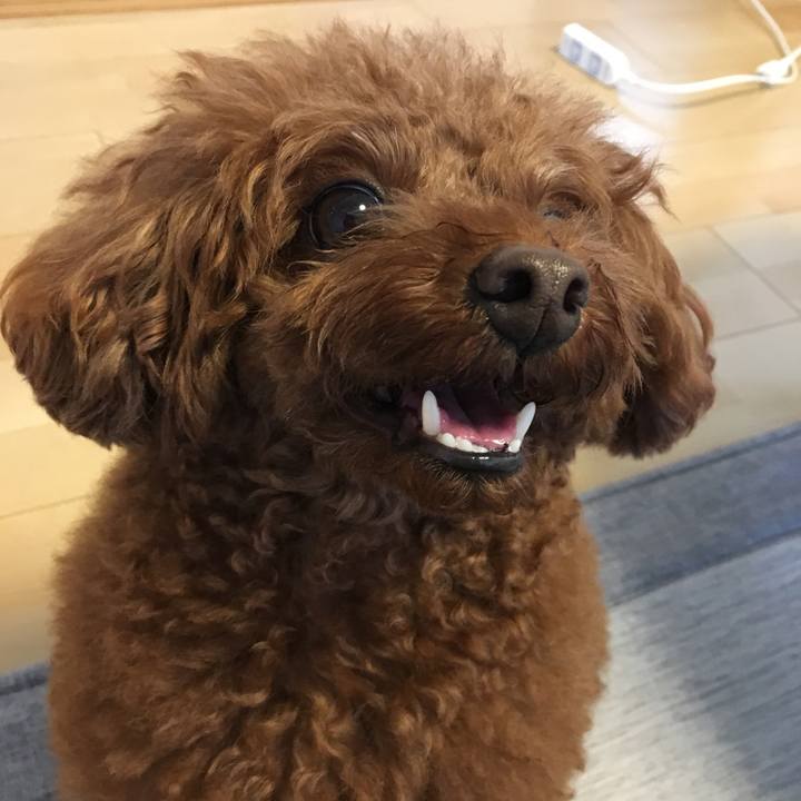 B0665e5d 7db3 4209 82d2 1a5332d9abdd 1539317564005