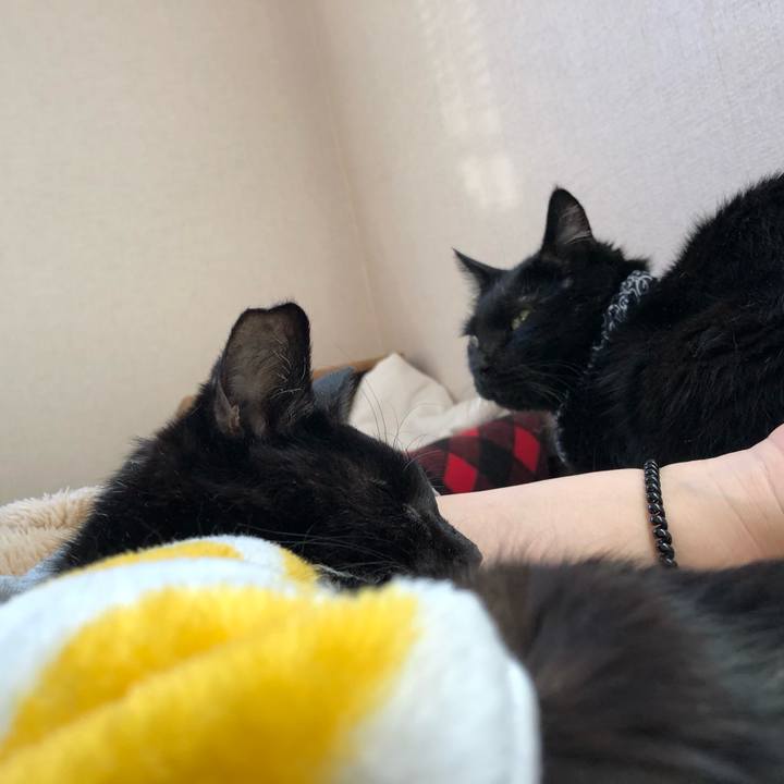 B066b487 c41e 4952 822d 1718eacc172b 1558039750546