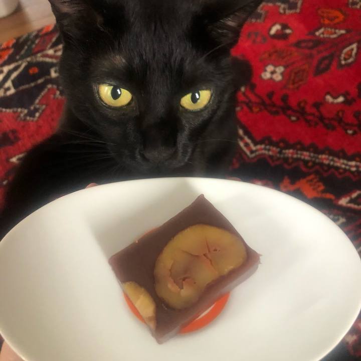 B066d00d 13d5 468e b8d9 26c04a2ba4a8 1637714508418