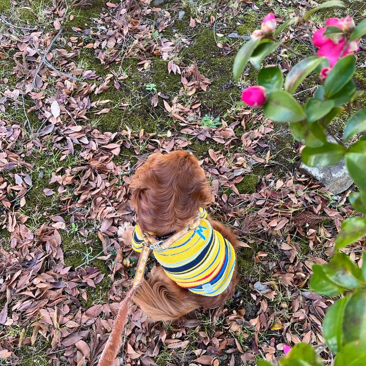 B066db7b b1a9 4aa9 b817 f2f08d3771b4 1702771131345