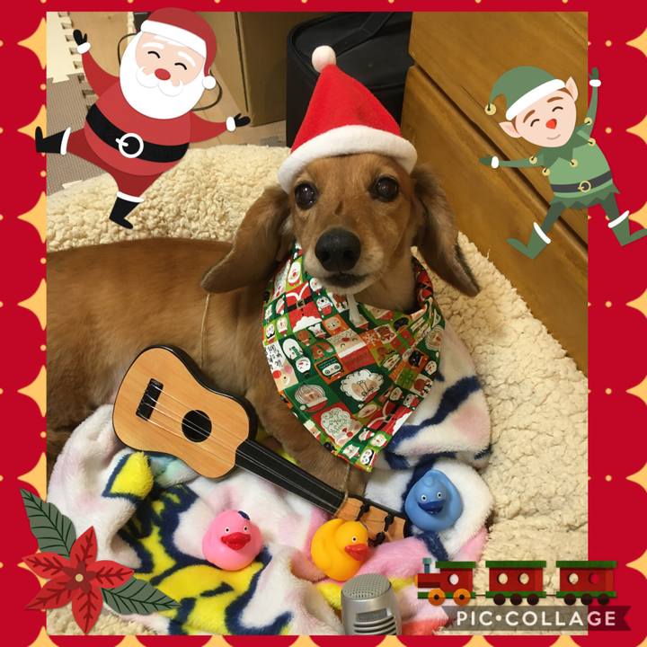 B066dfc3 bc4d 4cfc 9293 eaa02c5ee4e6 1577025990897