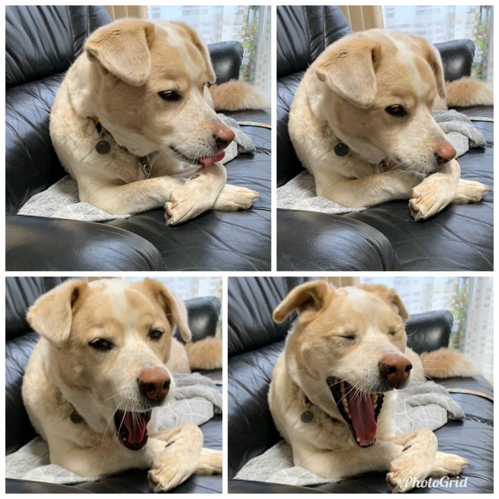 B066ff01 5a50 45da b03a cf802f350f26 1579331910105