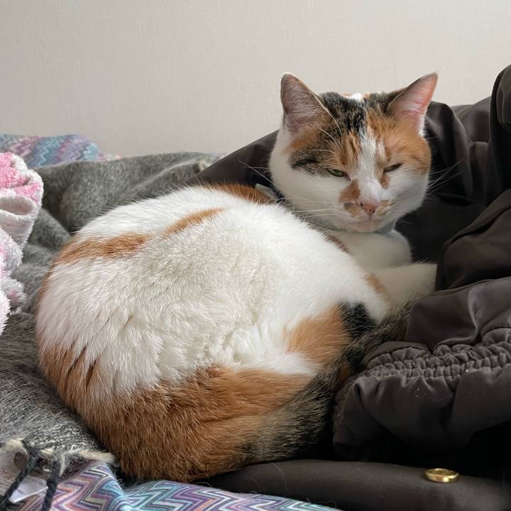 B067273a 779d 4d47 bf6e 9c9308eb6e3e 1674359831819