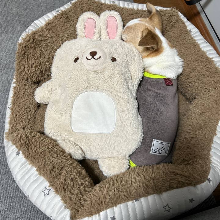 B0673aa1 643c 4de4 9d9a 469b38010297 1765202074464