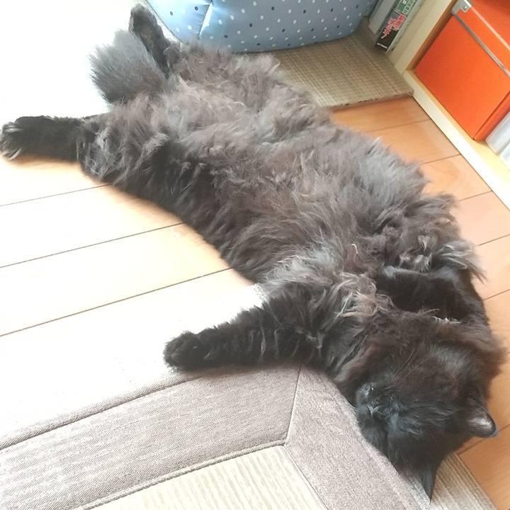 B0678541 3401 4900 bada 677250eb8eeb 1626137932186