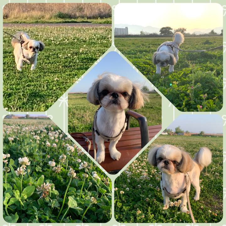 B067c29f 3716 4a09 8b3c 7f85fe4e10be 1649583340594