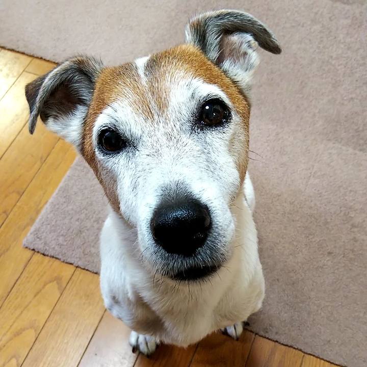 B0681b27 6be2 4753 a332 18aa0bed26a5 1531346224369