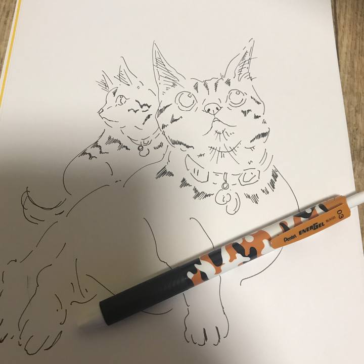 B0681c6b e18f 4a4f b484 3c9978c72c88 1624283255572