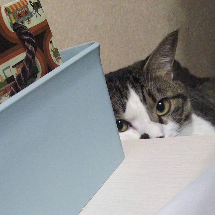 B06836f1 d056 4694 8650 8a38cbb3c93b 1662264898830