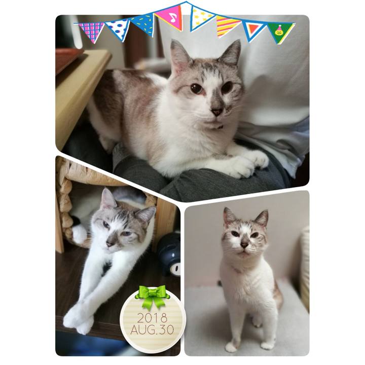 B068b030 a506 4289 aeff 099d84044077 1535592689978