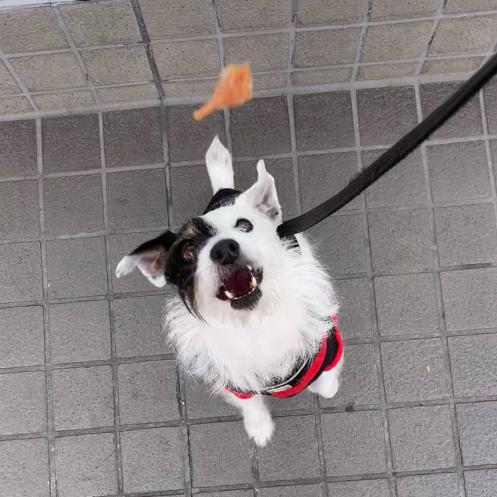 B068c431 aeb3 4f2a b94f d74194c26f19 1683704381169