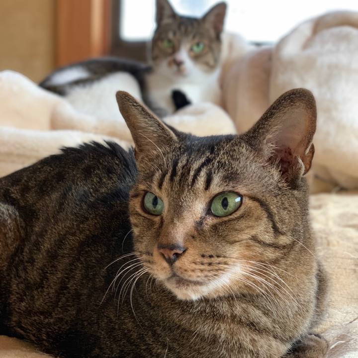 B068d849 22df 4c65 99a0 1ff67192a2bd 1542675034689