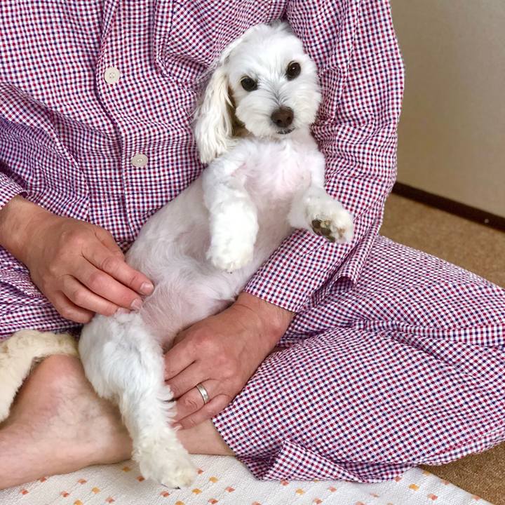 B0690767 ad41 40ac 8986 9e3151c8447d 1526705825627