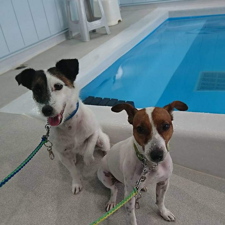 B0691820 8823 4b14 8af2 4c64a0d9febe 1593055290445