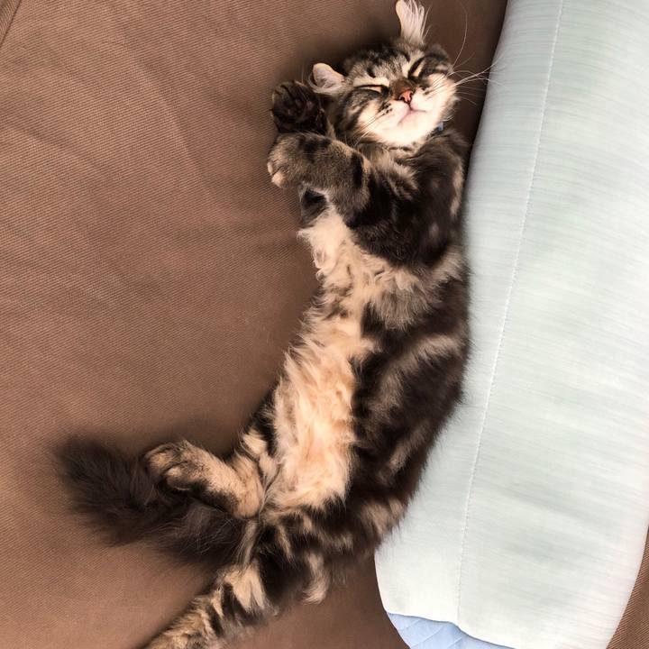 B069479e 91ac 4897 89f2 120d90f98e43 1558771085625