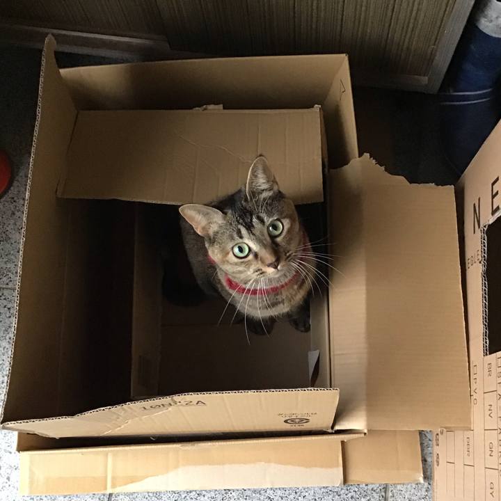 B0696de7 c2fe 471d 9952 bcafd076424e 1602999963985