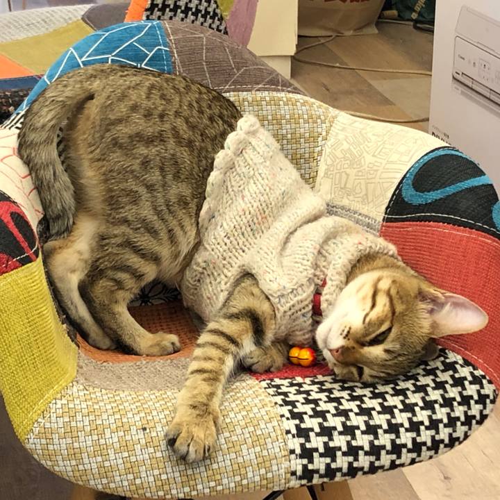 B0698b99 e7a3 4d13 8b7e 7796a2dca14d 1583927186580