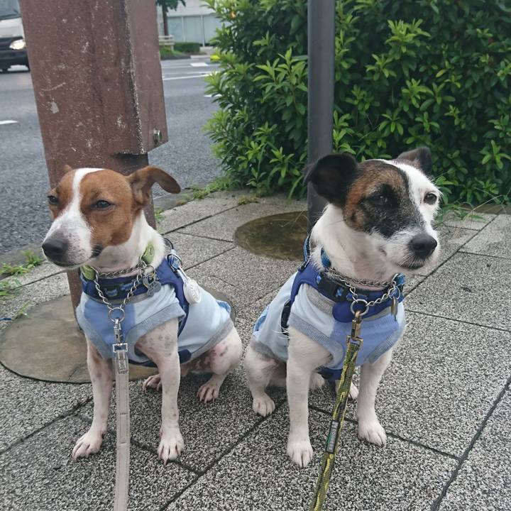 B0699933 1410 4838 93b2 aaea5962ed05 1563487540016