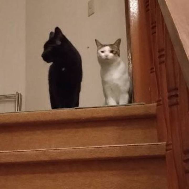 B069ccda 7b3b 4c0a 81e5 3215799b5756 1747835492851