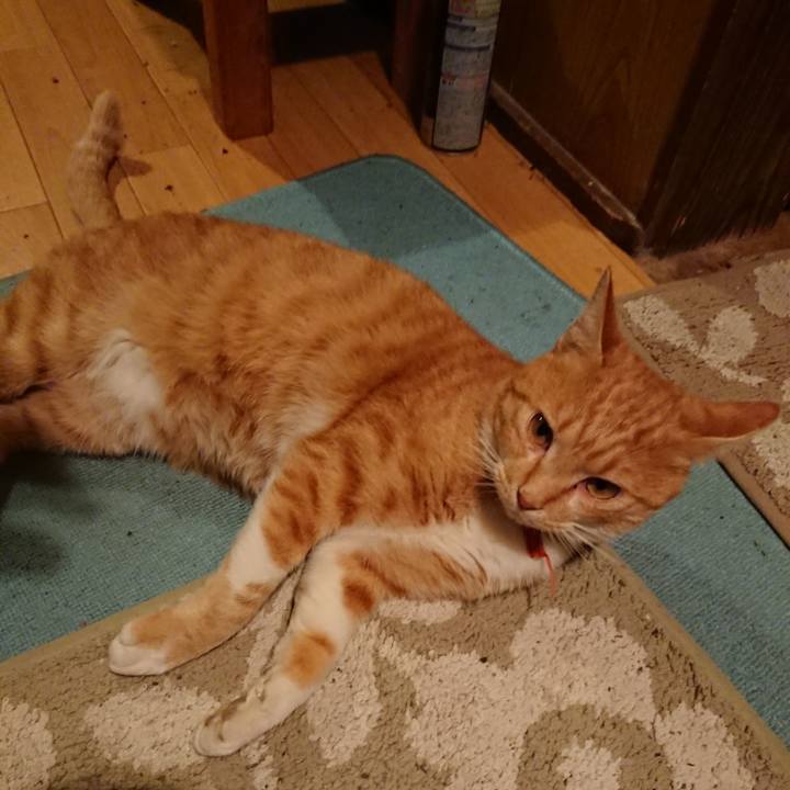 B069d047 94d4 4a66 a0a2 1737bca30a22 1571218025450