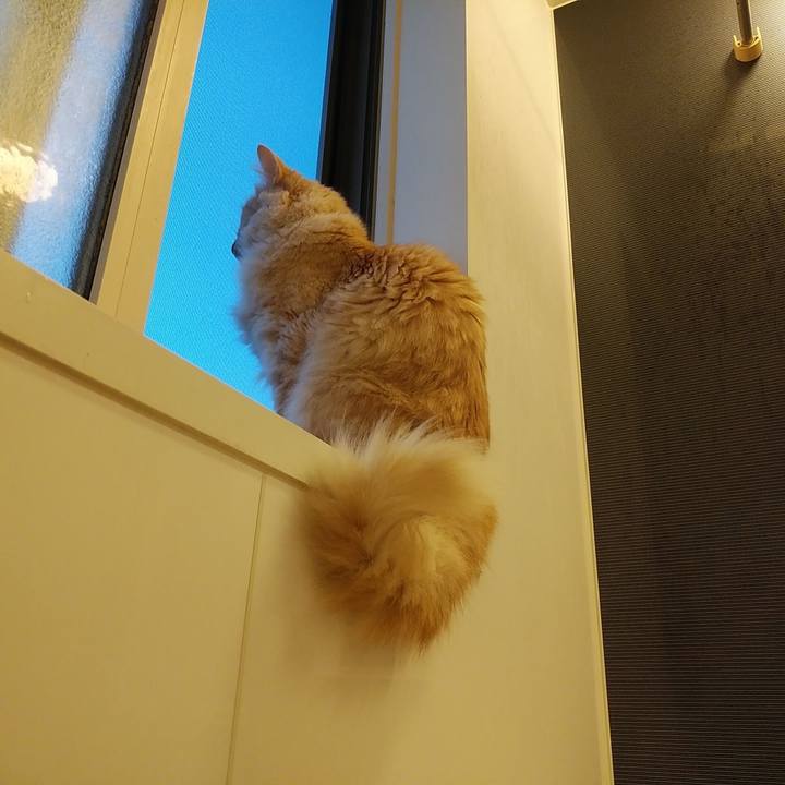 B069d5f5 a415 4d12 8a55 db5528b87019 1670417000862