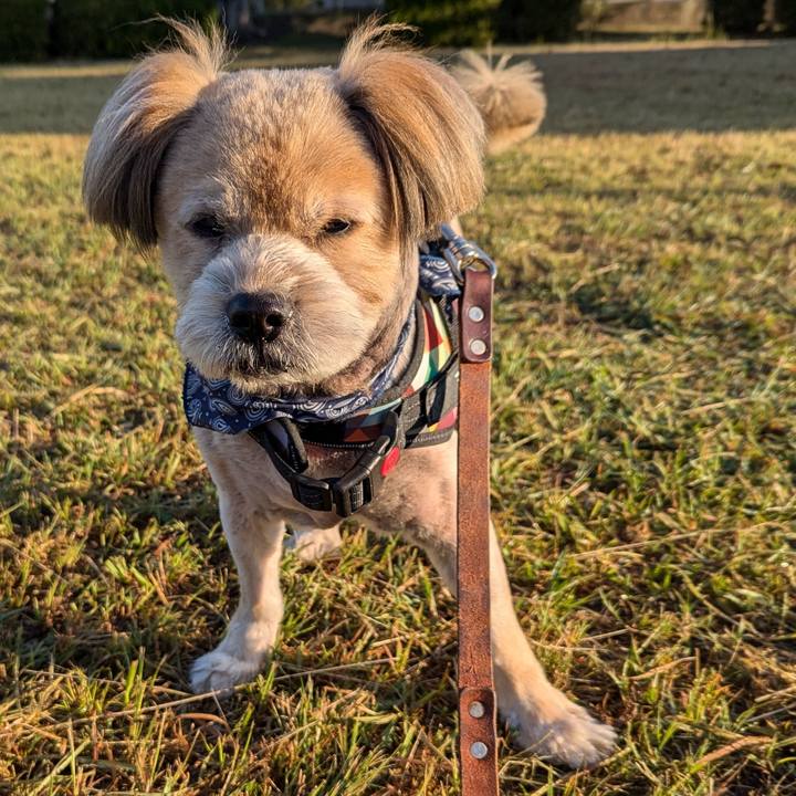 B069e1b2 19eb 4e5c a578 76dd2291068a 1728603365925