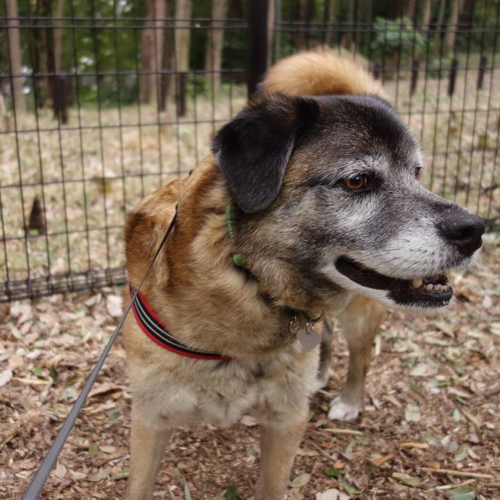 B069f066 8ab0 4705 b5d8 c4a8ec39a0c5 1634692309221