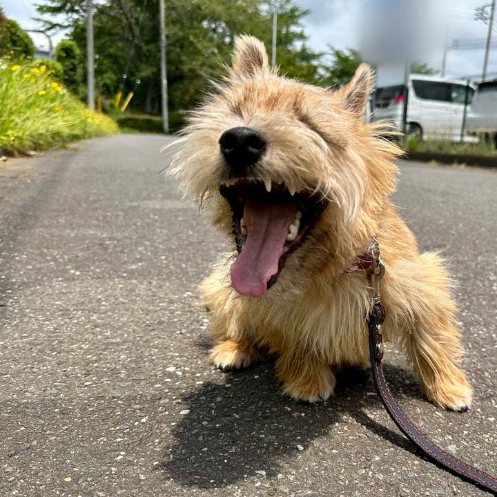 B06a25a4 b06a 4887 be34 f0cc0e850858 1717326187175