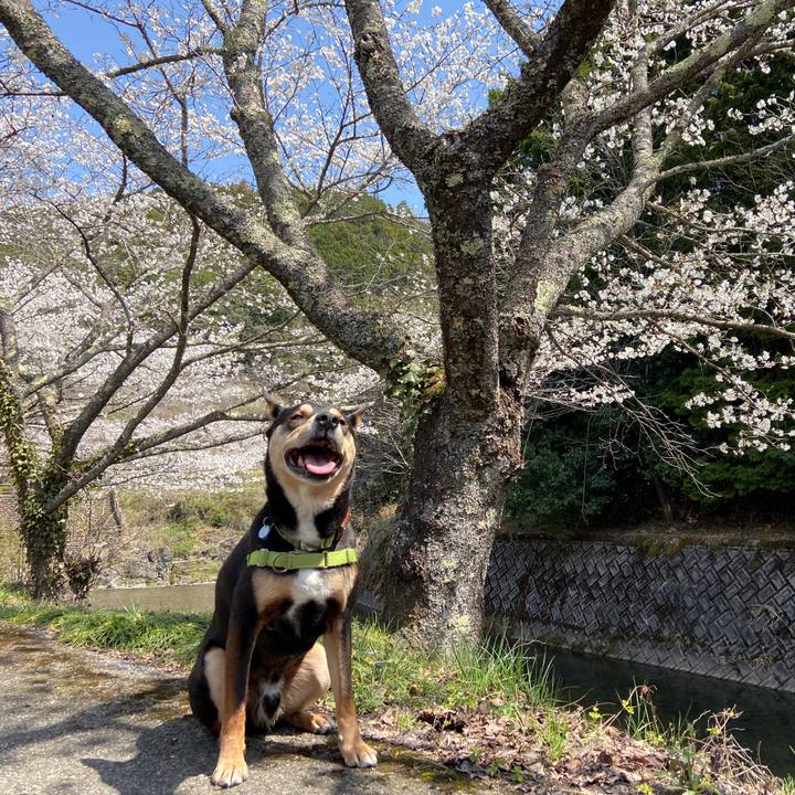 B06a410f d17b 42e0 96cd f287a05f2a30 1649235307274