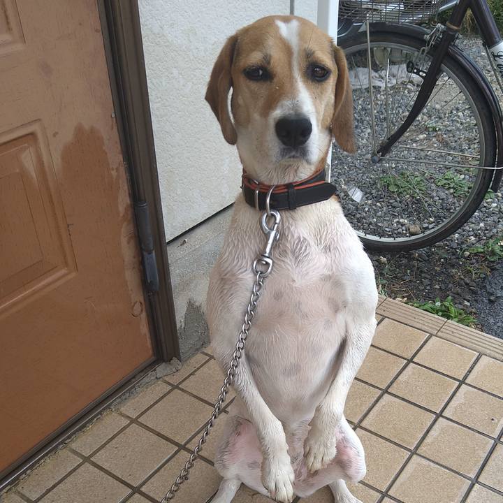 B06a4b93 fa44 479b a2f6 1998b18c7905 1630378645203