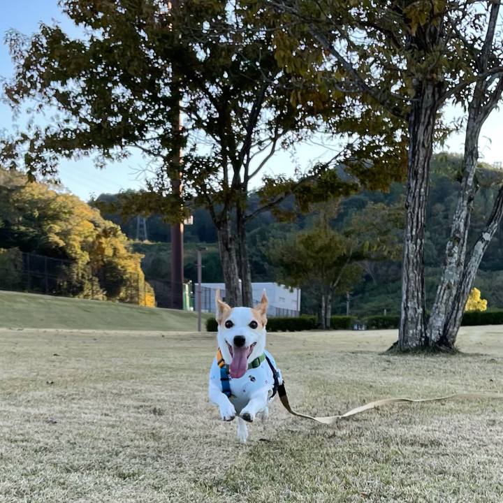 B06a7cf0 e6e5 41fa 90ec 57bb5b62891c 1636972309466