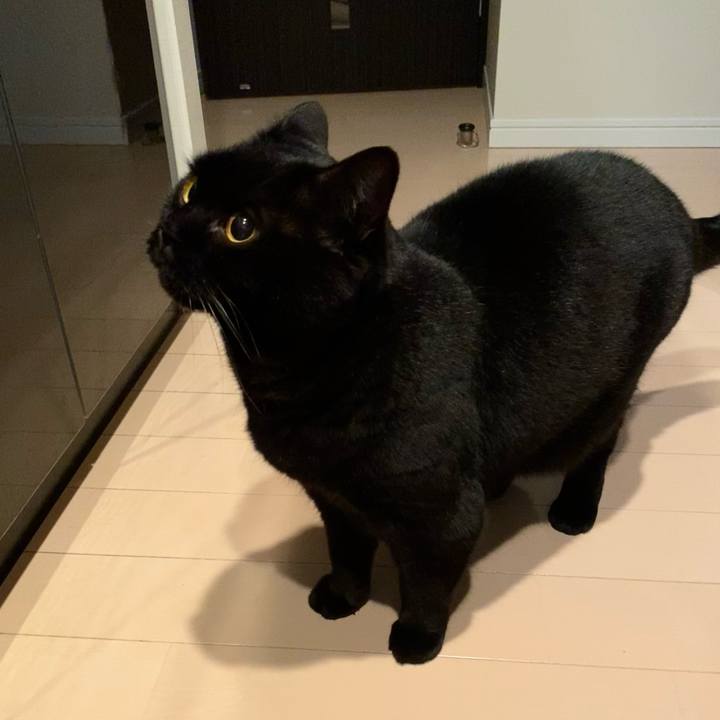 B06a9645 b72a 47c3 9b34 c2aa7aca9fa2 1739017685070