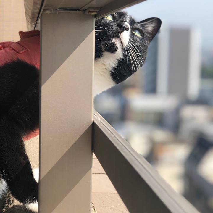 B06ab135 8a4b 4096 85b2 126d8e816230 1557190648766