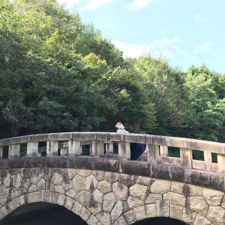 B06abb6a 7af3 4fc4 ad26 561f58f943e0 1537681831393