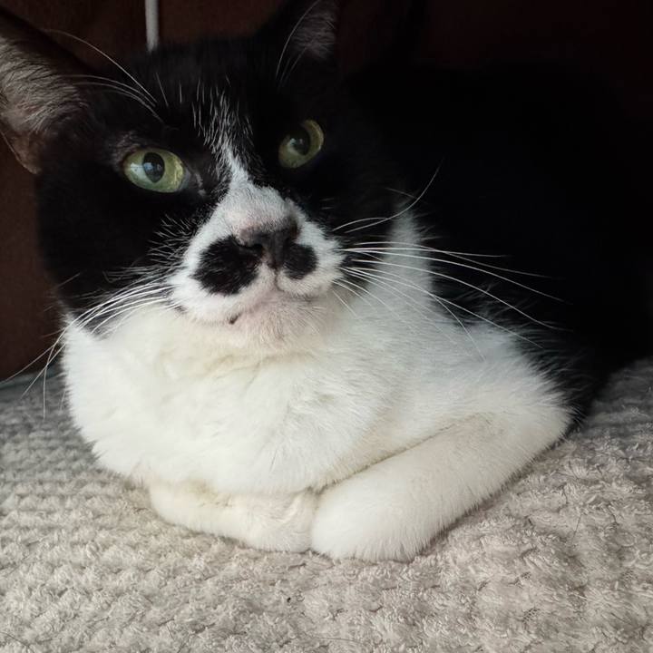 B06ac244 4ecf 4f6b abb3 c9b64bc84306 1737177243807