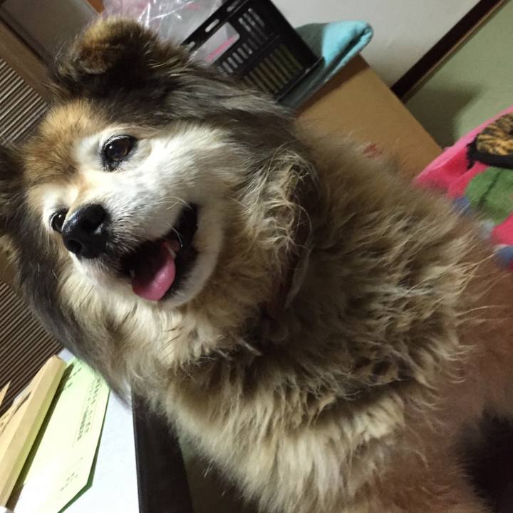 B06ac77d 81f8 4922 8a4c 0b7afa532c57 1665206120060