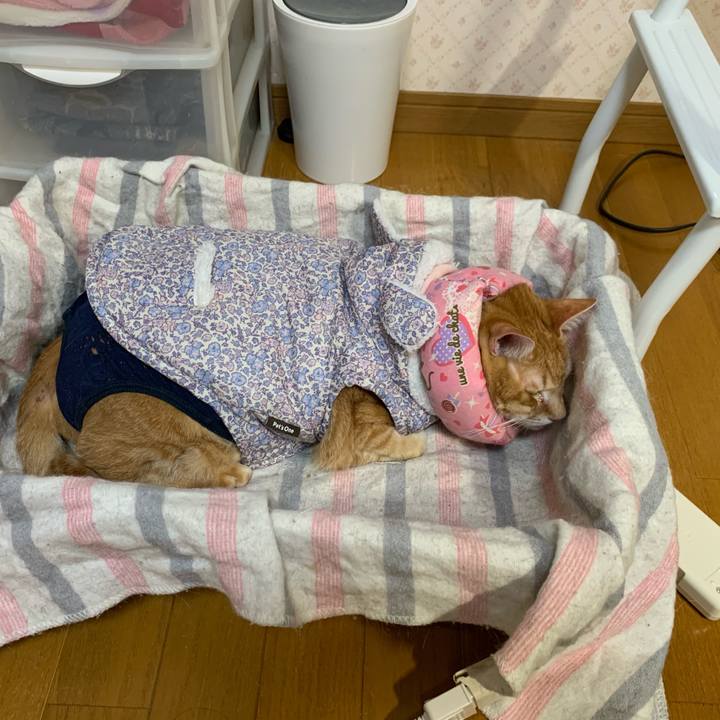 B06af8e5 18ef 47a8 80e4 abdc2dfd8e05 1620164979084