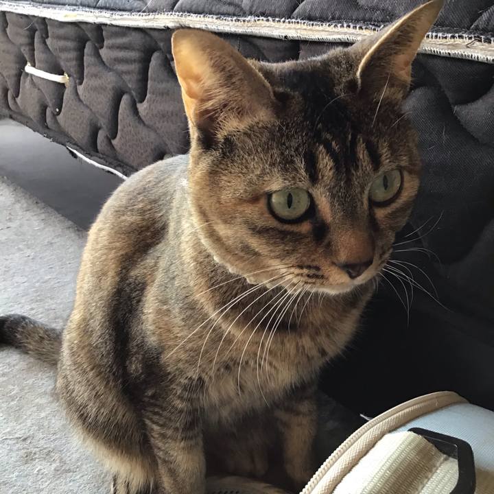 B06b01ff 2199 470c a716 192f32491811 1650443417648