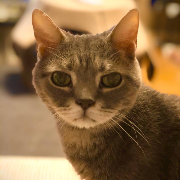 B06b100a 45af 4ef3 a120 4a6fa9ed7473 1571406238309