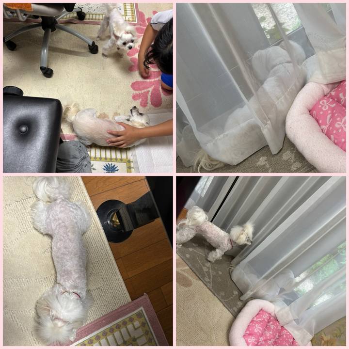 B06b13cc f27c 4e1a 9556 ea59f53fd1c2 1750939522610