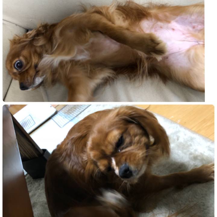 B06b1df5 6f5c 4c61 bf21 0ae4a01dd4e7 1527771738506