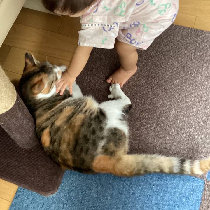 B06b6159 88dc 4372 99d3 913861bffdf4 1660037725393