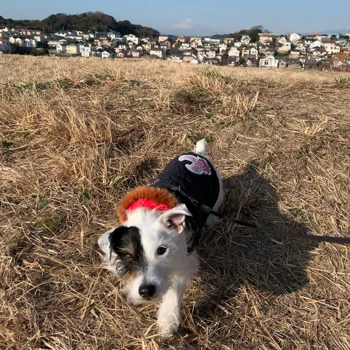 B06bd1c2 fcee 4a02 82c0 4ef7ea7ddbdd 1673571476808