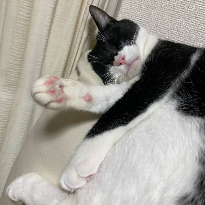 B06bd862 f1cb 428f 8db5 7309fd4b115a 1672204597428