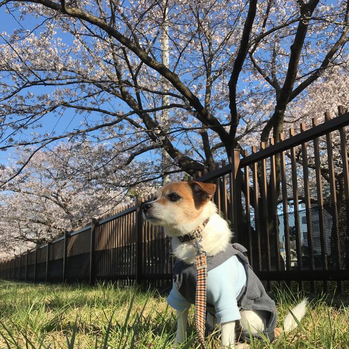 B06c0f7a a763 4c87 a3eb 4d1189b6288d 1585124280728