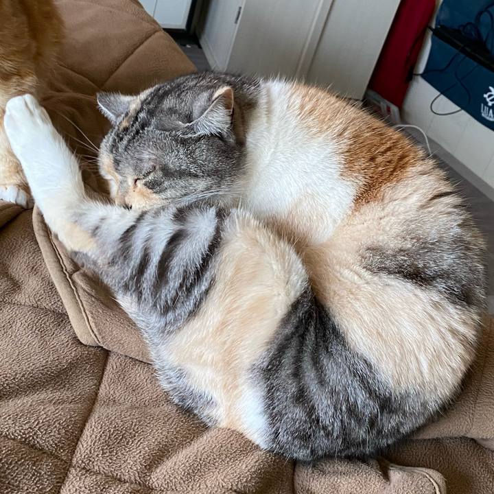 B06c35b4 cd7d 4512 8372 731bc78ca373 1613697662220