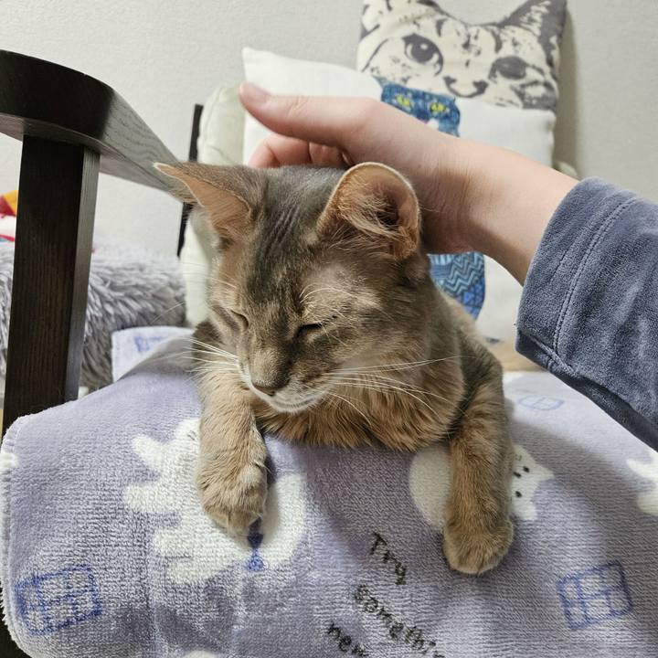 B06c5d70 a832 40e2 b9d9 037580d84b2e 1709510074969