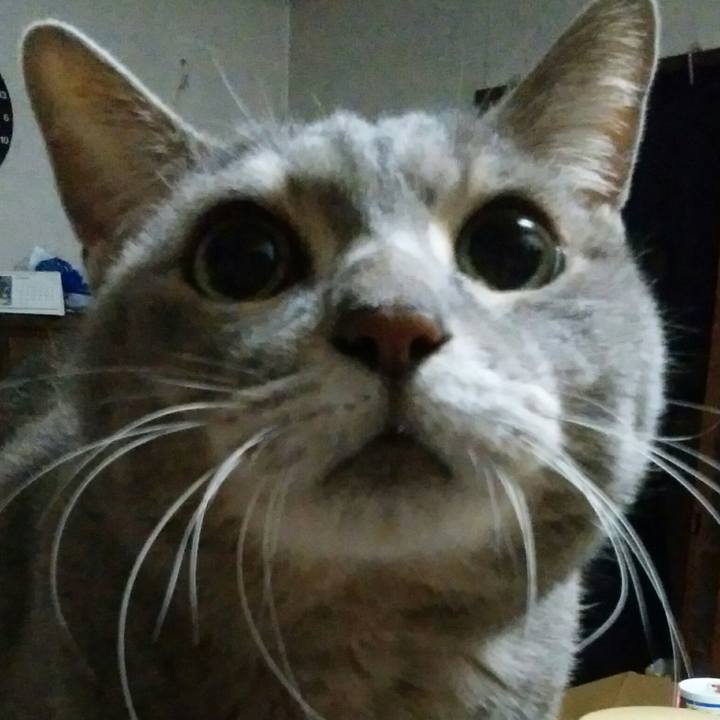 B06c60c0 49be 4621 9e6b f1e1401838f1 1578680421159