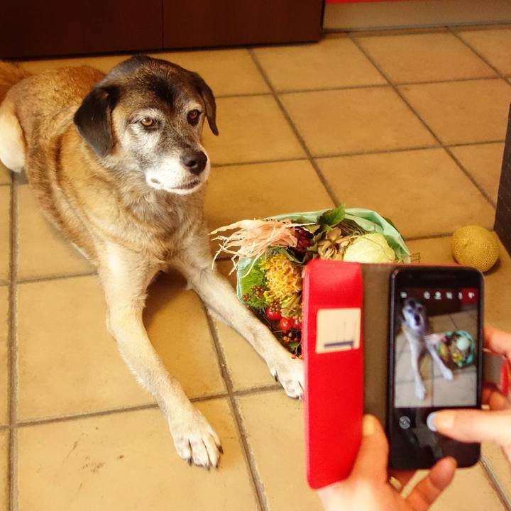 B06c9ada 08ae 4bf6 a1e6 232714c05be8 1618100961688