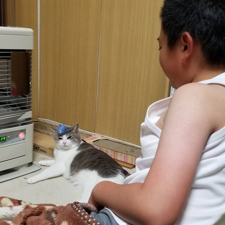 B06cba9c dec1 45bc b636 57f5bae2c330 1570973988598